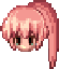 Hairstyle Coupon (Premium Ponytail)